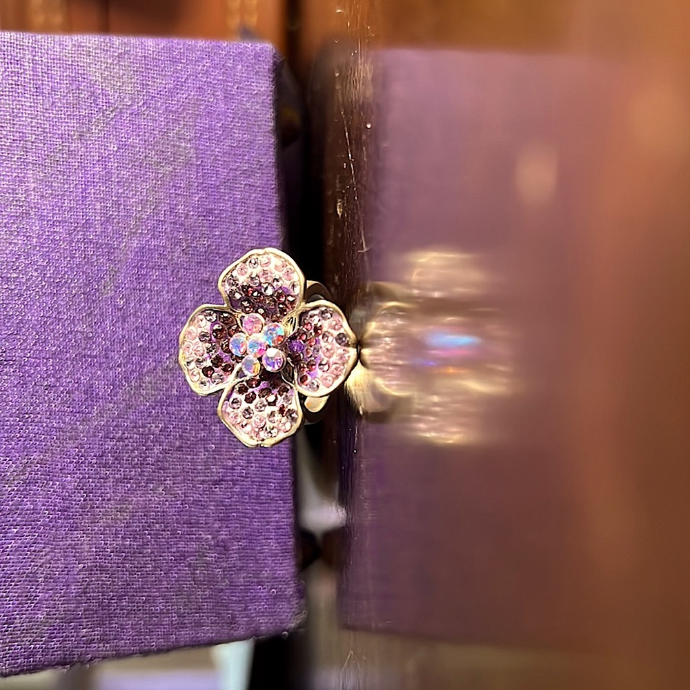 Costume Ring - image 1